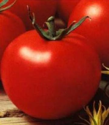 Seminte tomate Optima F1 500 sem