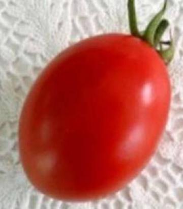 Seminte tomate Chelse F1 1000 sem
