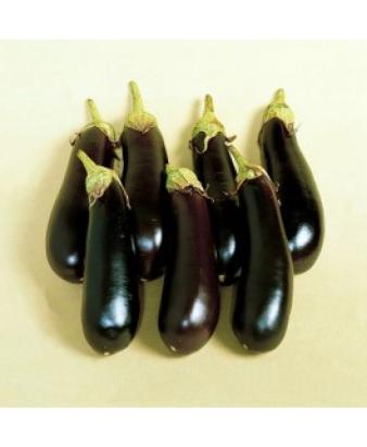 Seminte vinete Mirabelle F1 (500 seminte)