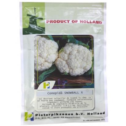 Seminte conopida Snowball PPZ 50 GR