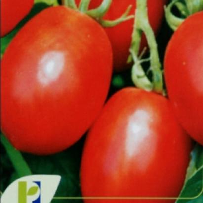 Seminte tomate Heinz PPZ 10 GR