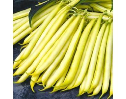 Seminte fasole fideluta galbena Tambora 25 KG