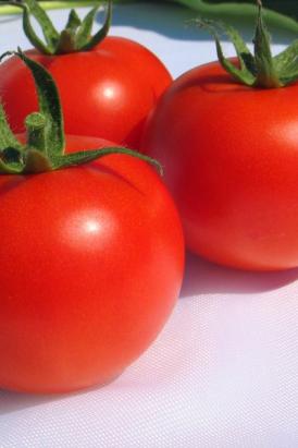 Seminte tomate Korall (1000 seminte)