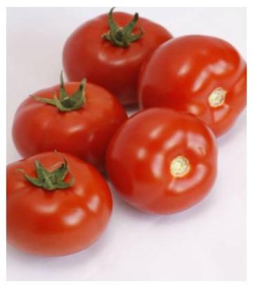 Seminte tomate Alamina F1 100 sem