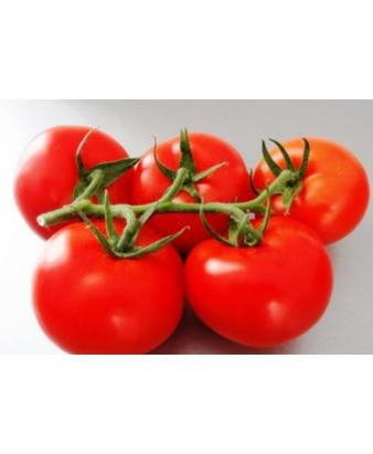 Seminte tomate Endeavour F1 100 sem