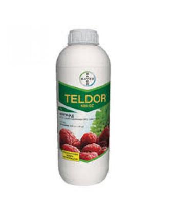 Fungicid Teldor 500 SC 1 L