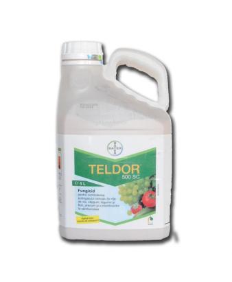 Fungicid Teldor 500 SC 5 L