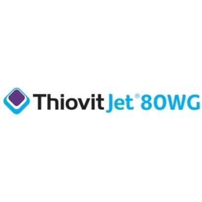 Fungicid Thiovit Jet 80 WG 20 KG