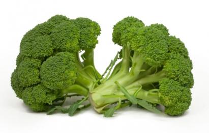 Seminte broccoli Calabrese Horti Tops 2 GR