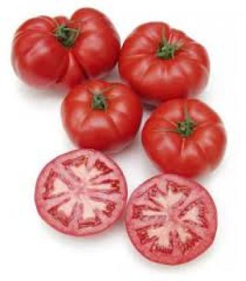 Seminte tomate Country Taste F1 250 sem