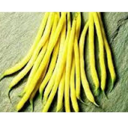 Seminte fasole fideluta galbena Sondella 500 GR