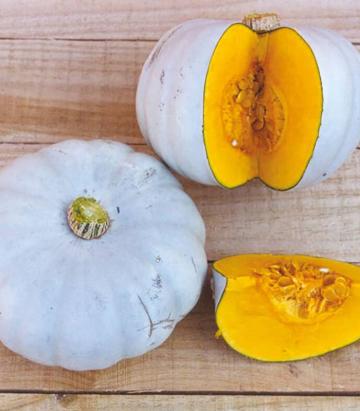 Seminte dovleac de copt Crown Prince F1 (500 seminte)