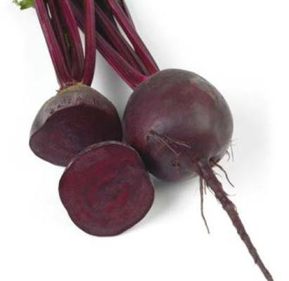 Seminte sfecla rosie Red Hawk F1 (10 000 seminte)