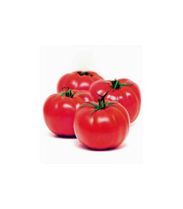 Seminte tomate Troy F1 500 sem