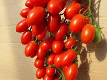 Seminte tomate cherry Lucinda F1 100 sem