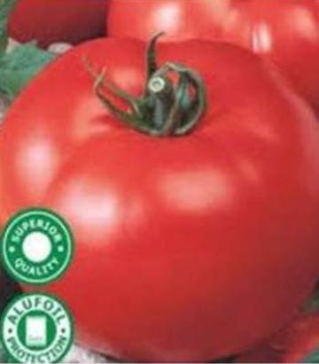 Seminte tomate Amalia 3000 sem