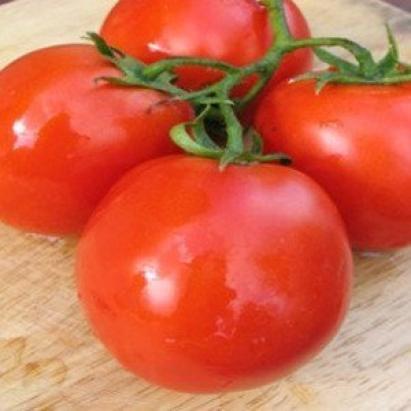 Seminte tomate Lugas F1 (500 seminte)