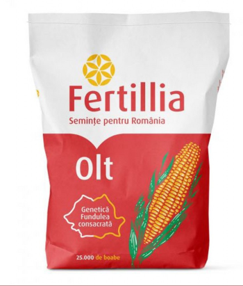 Seminte porumb Olt FAO 430 Genetica Fundulea (25 000 seminte)