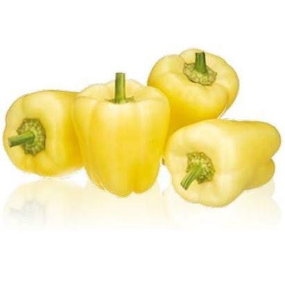 Seminte ardei gras Salana F1 (500 seminte)