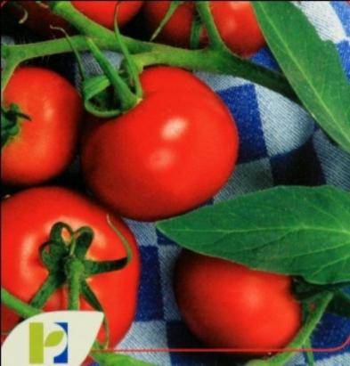 Seminte tomate Moneymaker PPZ 50 GR