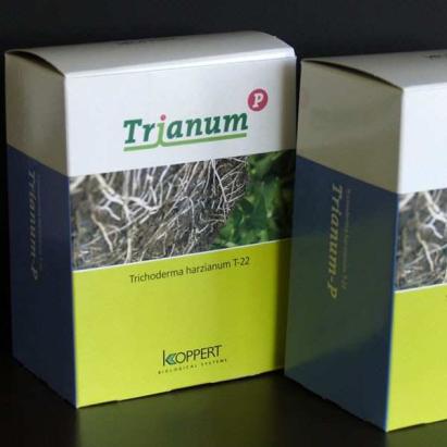 Trianum P 500 gr