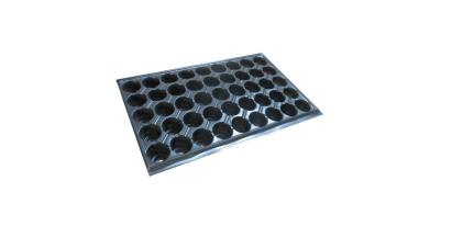 Alveole rasad 24 celule