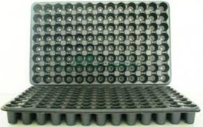 Alveole rasad 70 celule