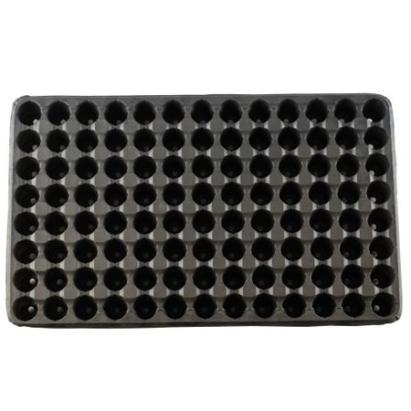 Alveole rasad 104 celule