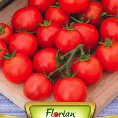 Seminte rosii cherry Gardener`s Delight Florian 0.5 gr
