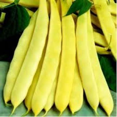 Seminte fasole galbena pitica lata Capitano Florian 1 kg