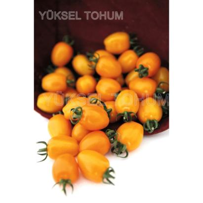 Seminte tomate cherry galbene Chick F1 (100 seminte)