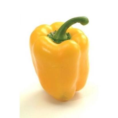 Seminte ardei gras Cecila F1 (1000 seminte)