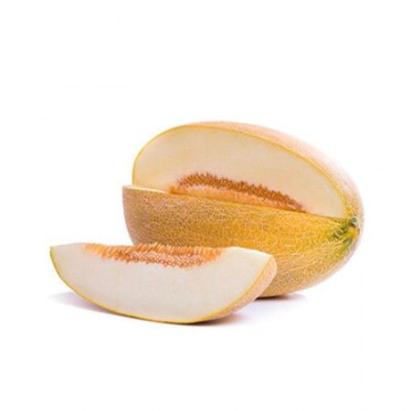 Seminte pepene galben Catherine F1 100 sem