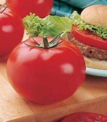 Seminte tomate Bigbeef F1 (100 seminte)