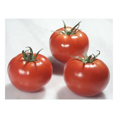 Seminte tomate Rally F1 (500 seminte)