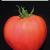 Seminte tomate Medeno Sartse, Inima de miere F1 (50 seminte)