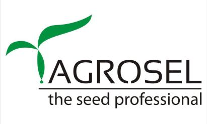 Seminte ardei gras De Siria 0.5 g PG1