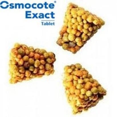 Osmocote Tablete 10+8+17+2MgO+ME 5-6 luni 10 bucati