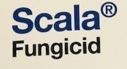 Fungicid Scala 20 ML