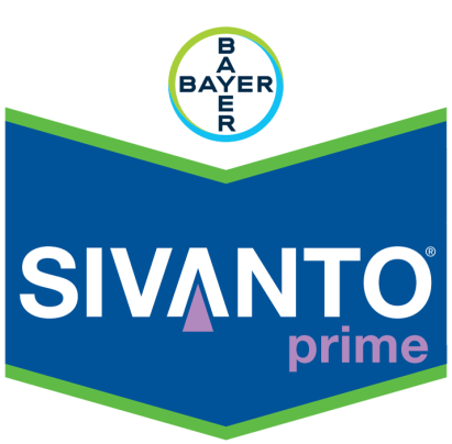 Insecticid Sivanto Prime 10 ML