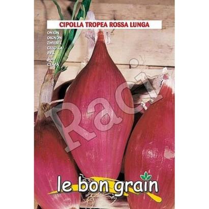 Seminte ceapa rosie Tropea Rossa Lunga Raci Sementi 500 gr