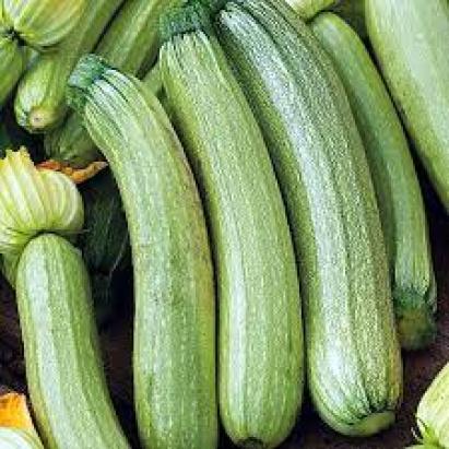 Seminte dovlecei Genovese Raci Sementi 500 gr