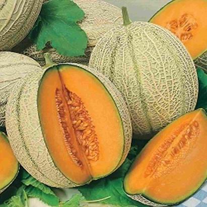 Seminte pepene galben Retato Degli Ortolani Raci Sementi 100 gr
