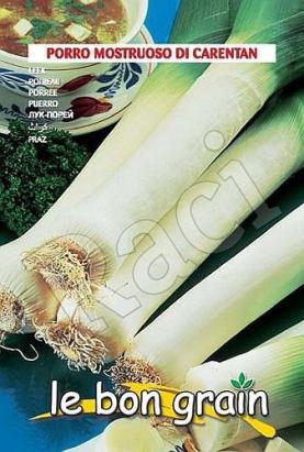 Seminte praz Monstrueux de Carentan 2 Raci Sementi 100 gr