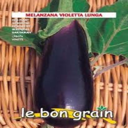Seminte vinete Violeta Lunga Raci Sementi 100 gr