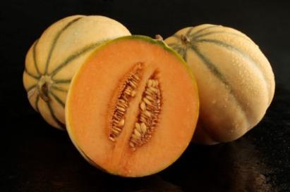 Seminte pepene galben Talisman F1 (500 seminte)