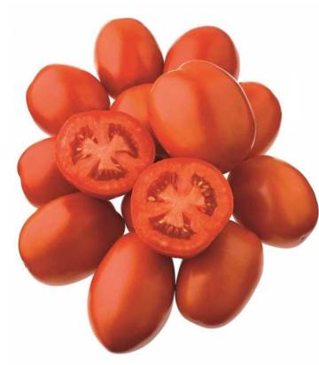 Seminte tomate Jag 8810 F1 10 000 sem