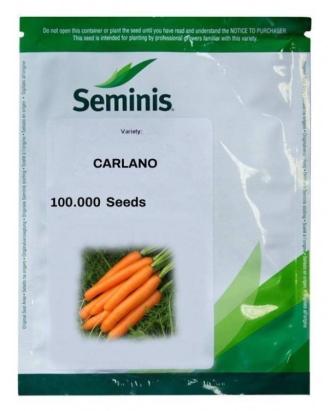 Seminte morcov Calano F1 100 000 sem