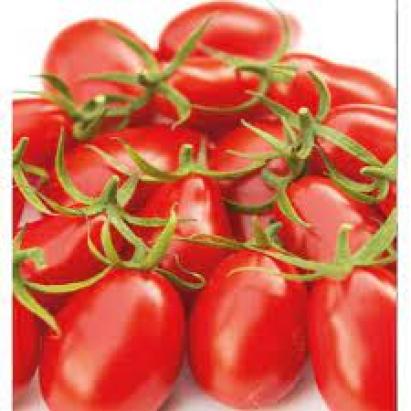 Seminte tomate cherry Nicoleta F1 (250 seminte)