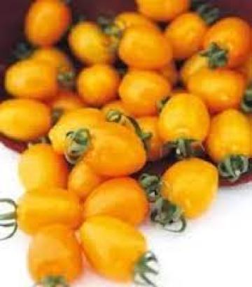 Seminte tomate cherry galbene Chick F1 (250 seminte)